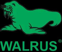 Walrus